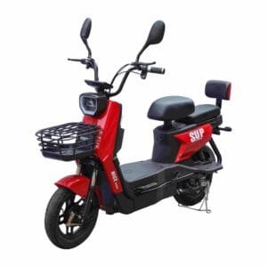 Asia Electric Bicycle Manufacturer for Export