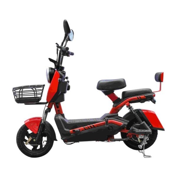 Asia E-Bike Factory for Global Market