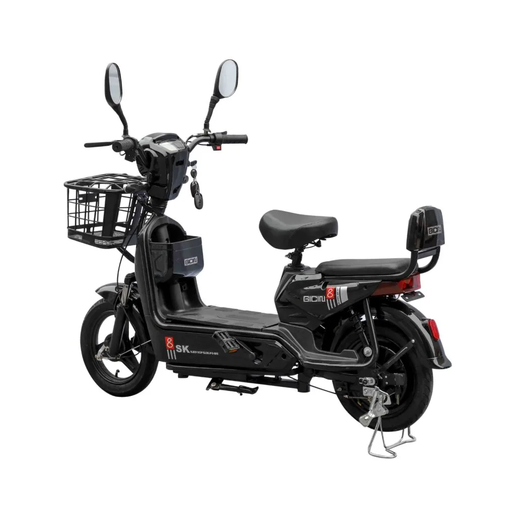 Chinese E-Bike Factory for Export