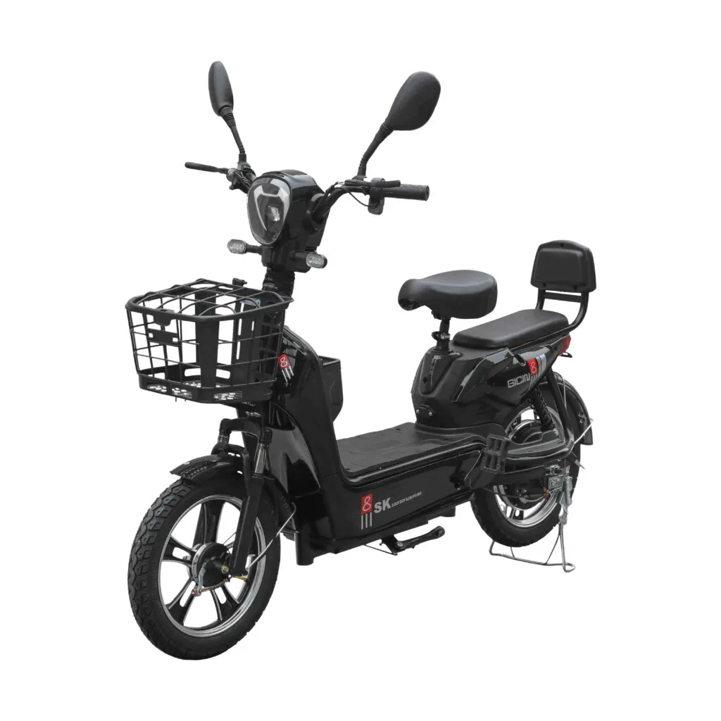 Reliable E-Bike Supplier China